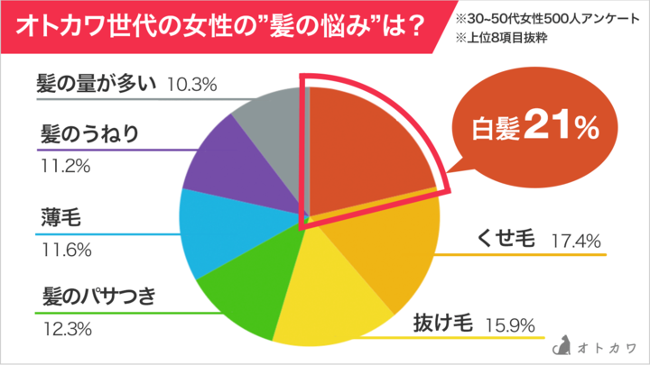 40代女性の髪悩みは「白髪」と「くせ毛」。500人にアンケートした結果を公開。 株式会社プレスマン